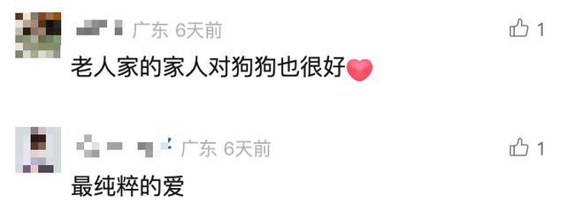 75岁老人病逝，狗狗葬礼现场流泪，躺在棺材旁随主人一同离世