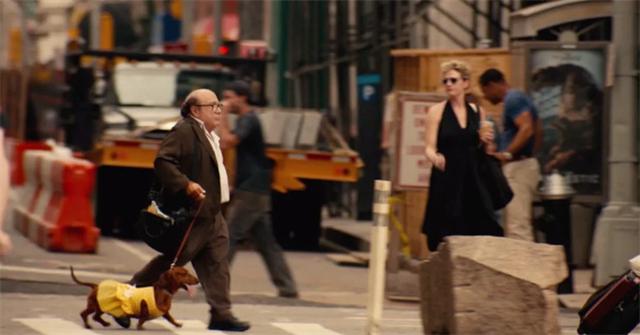 狗狗队集合！电影频道将排播7部温馨狗狗电影！