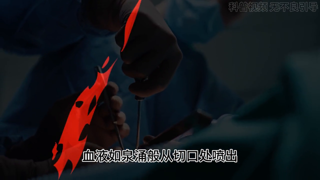 32岁美女模特，用电锯切开小腿胫骨，骨头断裂瞬间，血液如泉涌