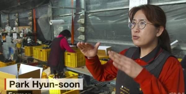 这座韩国最大垃圾山 已经烧了3个月