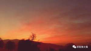 谁把谁当真(年下 虐文《谁把谁当真》by水千丞)