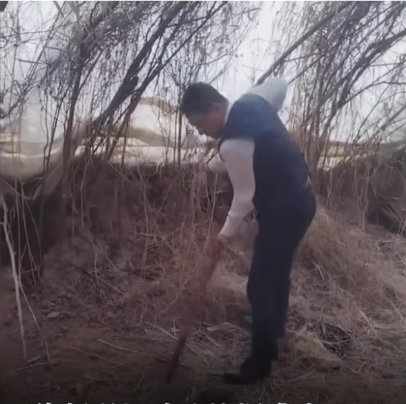 邯郸未成年人遇害事件，悲报时间线