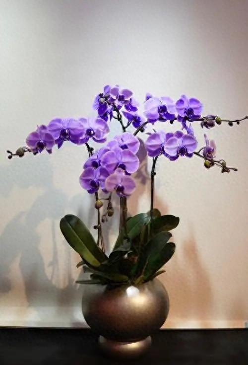 订婚当天，我喊准婆婆一声妈，她当众让我叫她阿姨。