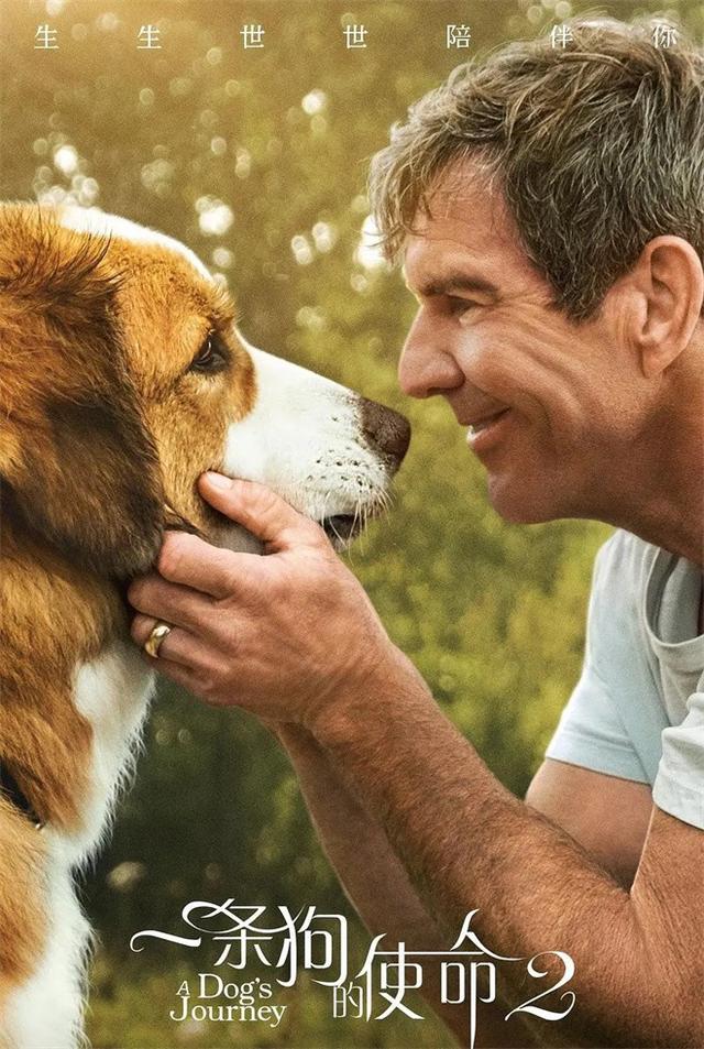 狗狗队集合！电影频道将排播7部温馨狗狗电影！