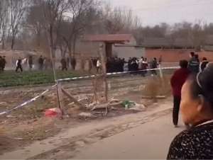 悲报(邯郸未成年人遇害事件，悲报时间线)