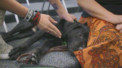 一个特殊职业，你肯定不了解