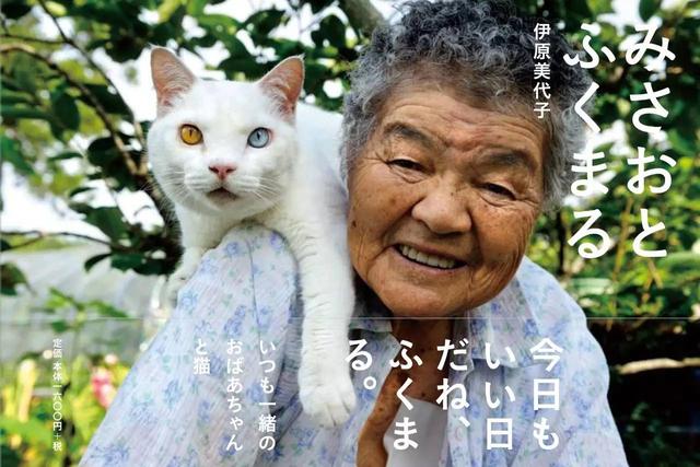 这只日本最有爱的“婆婆猫”，去了天国