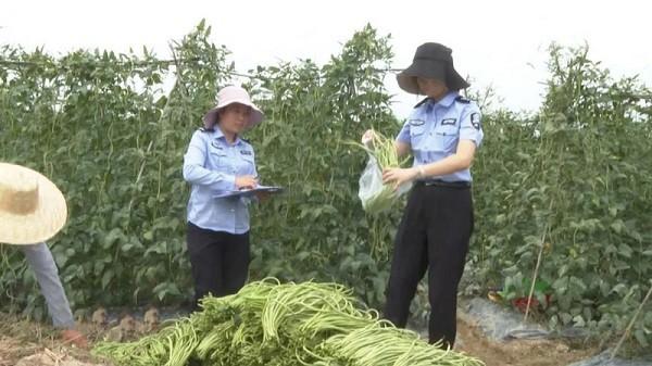 保亭：严把农产品质量安全关 确保群众舌尖上安全