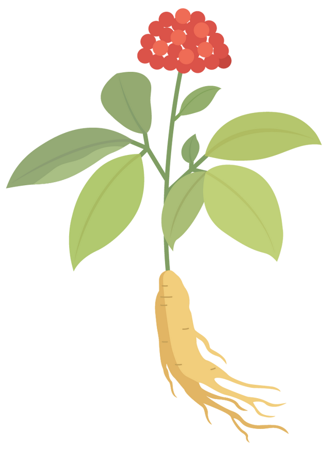 书香为伴 夜读建阳丨中国传统古村落：小源