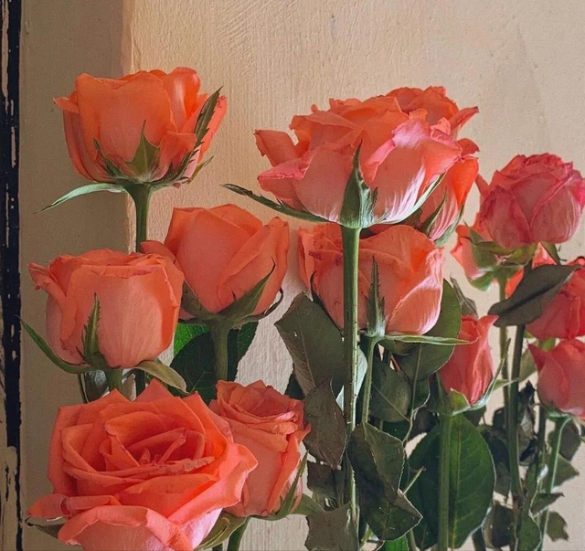 不管是夫妻还是情人，总觉得爱不够的，永远都是这种男女