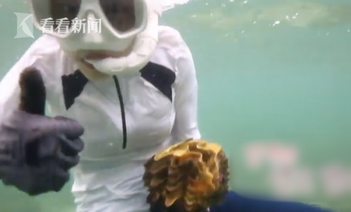 李烈音或被判5年什么情况？李烈音个人资料为什么或被判5年事件始末