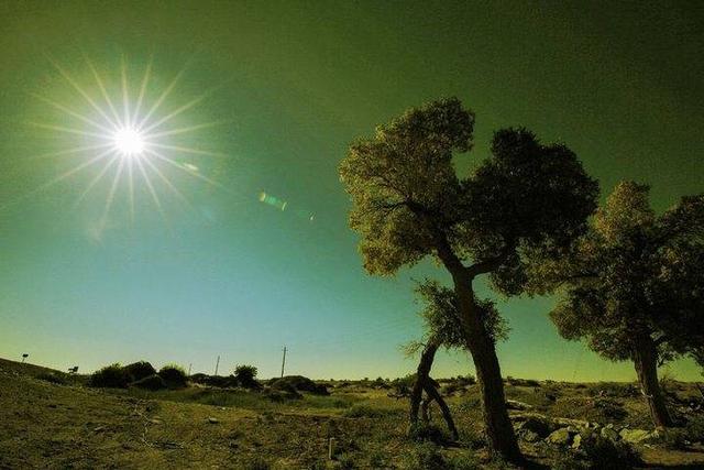 影像｜莱钢老年《摄影视界》作品欣赏：展现五光十色的世界