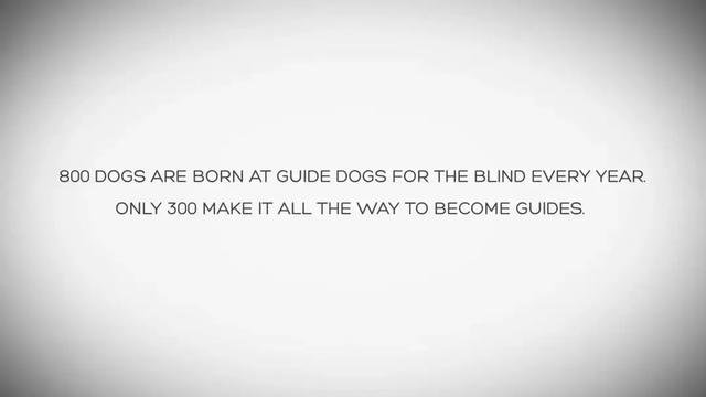 一个特殊职业，你肯定不了解