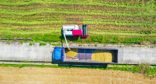 广东农业为什么与众不同？一一写在第四个中国农民丰收节