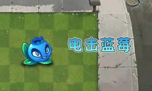 植物大战僵尸二:盘点那些不是金卡的超强植物