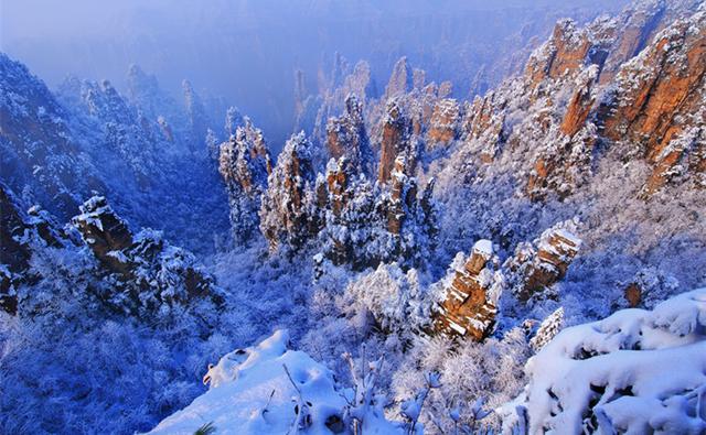张家界的那些被遗记了的方言