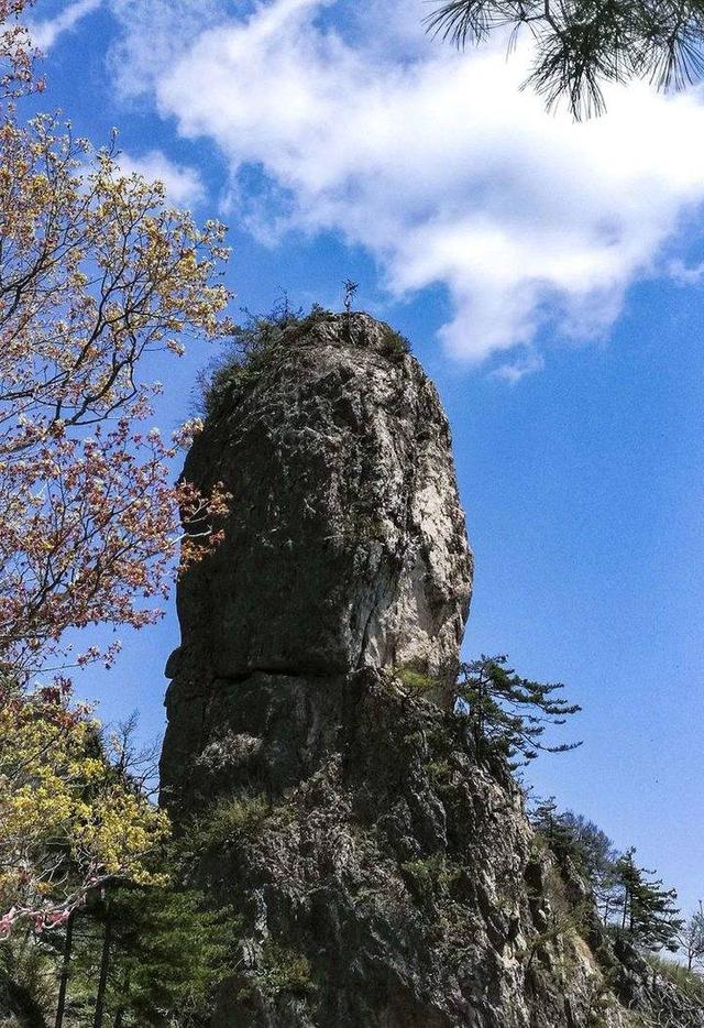 影像｜莱钢老年《摄影视界》作品欣赏：展现五光十色的世界