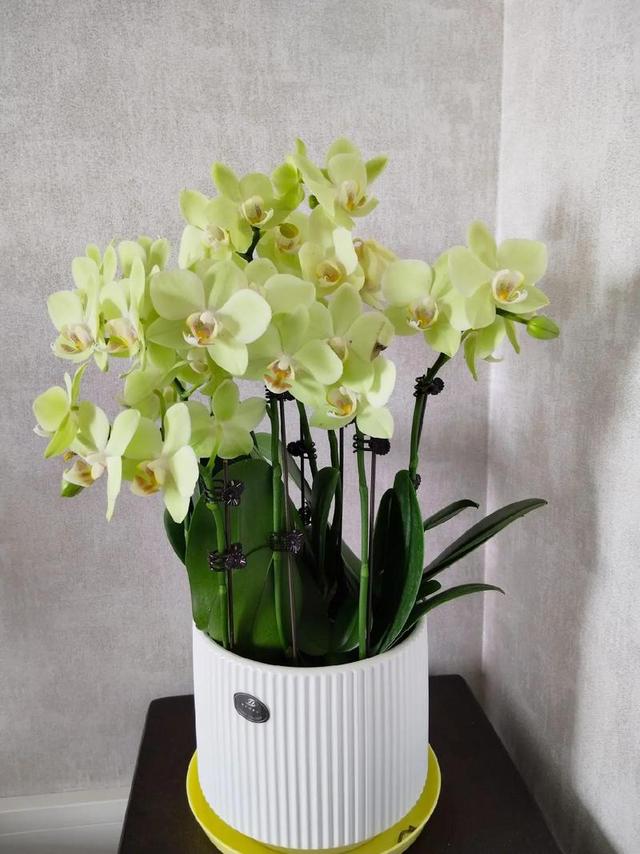 订婚当天，我喊准婆婆一声妈，她当众让我叫她阿姨。