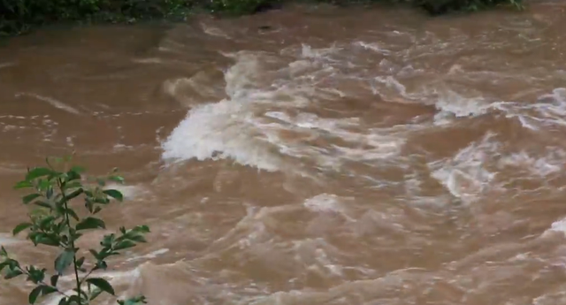 四川山村惊现神秘“龙骨石”，质地形状如同龙骨，专家认为不简单