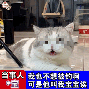 沙雕猫猫表情包：气到炸毛