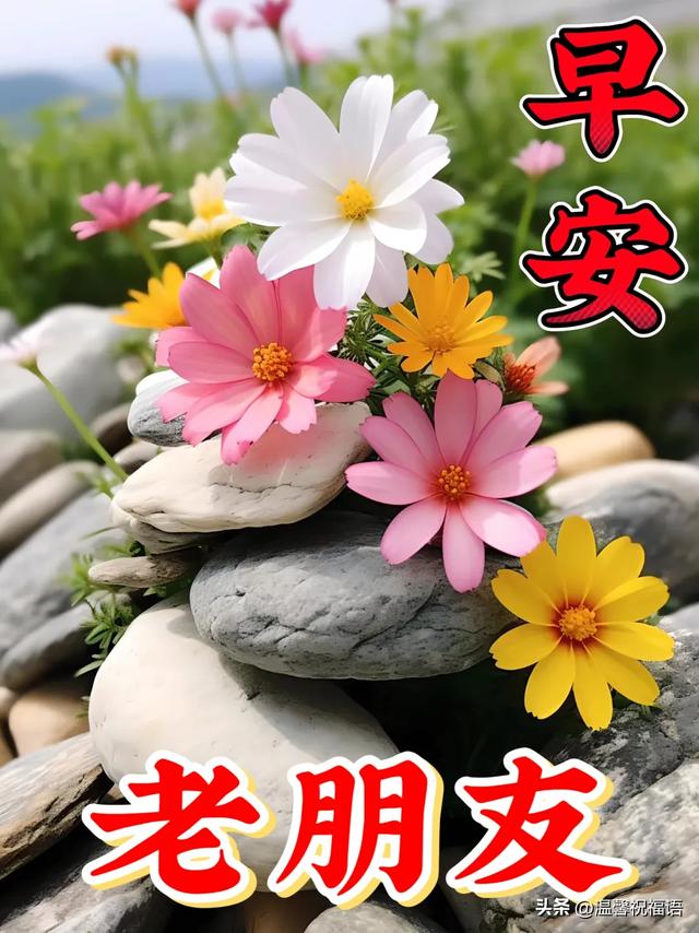 10月26日-精选老年人早上好美图带字，早晨好幸福暖心的问候图片