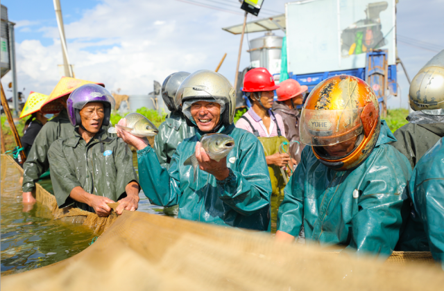 广东农业为什么与众不同？一一写在第四个中国农民丰收节