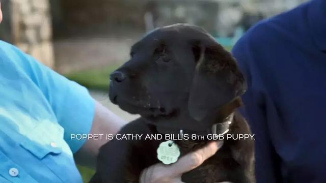 一个特殊职业，你肯定不了解