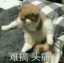 想起当年被“背诵全文”支配的恐惧，我仍瑟瑟发抖……