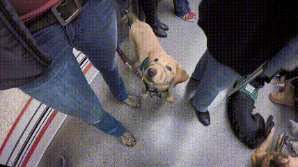 一个特殊职业，你肯定不了解