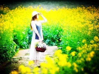 「陕西」李博｜十八岁那年，我在新疆