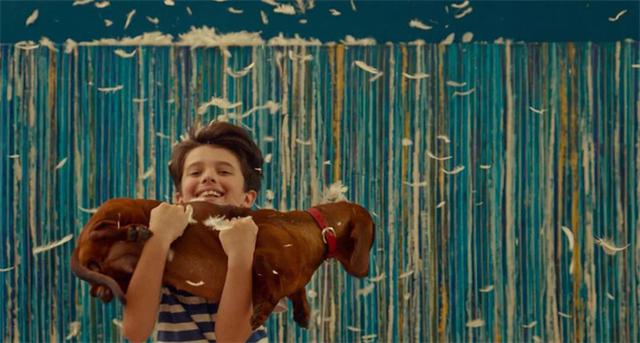 狗狗队集合！电影频道将排播7部温馨狗狗电影！