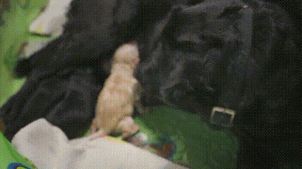 一个特殊职业，你肯定不了解