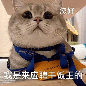 沙雕猫猫表情包：气到炸毛