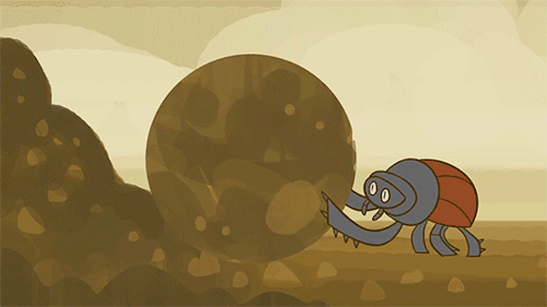 生命力顽强的屎壳郎出现危机：环境越来越差，就连排泄物都不安全