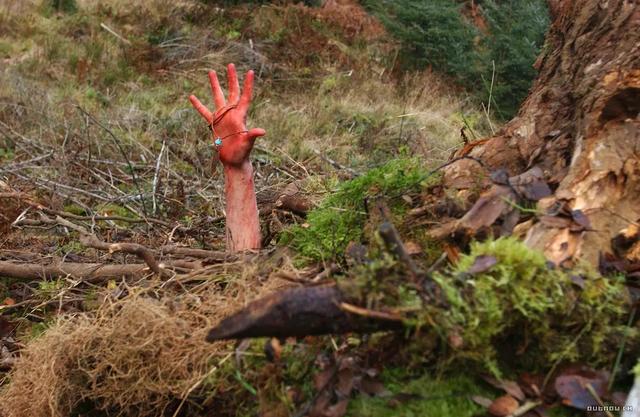 突破底线,遭人争议,这部日本电影凭啥成为猎奇重口片天花板?