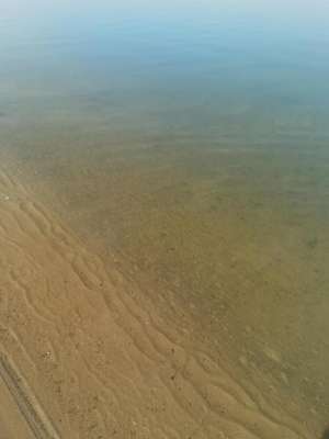 沙(沙（散文）)