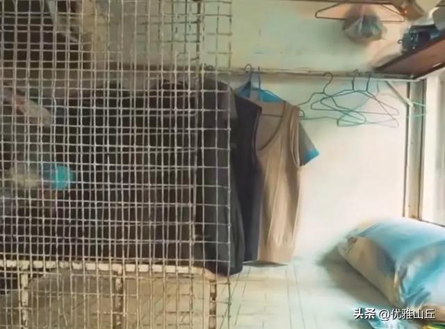 十位数天价别墅楼盘与“鸽笼”贫民窟，带你看真实的香港贫富差距