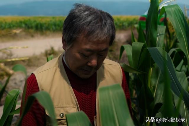 《漫长的季节》隐藏结局：隋东老婆孩子热炕头，王响大难不死