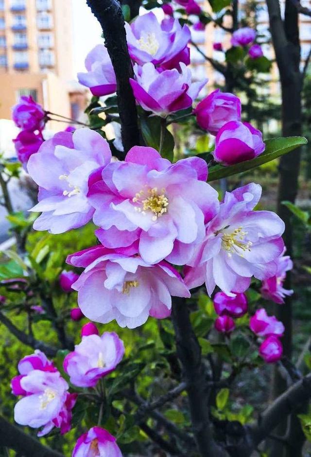 影像｜莱钢老年《摄影视界》作品欣赏：展现五光十色的世界