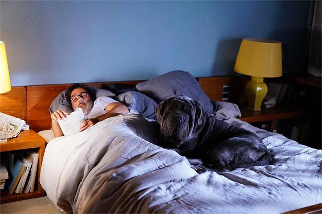 狗狗队集合！电影频道将排播7部温馨狗狗电影！