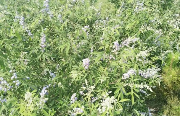 女人会在这些时候主动联系你，是想你“帮她”，不是真的想你了