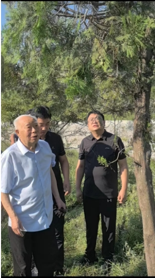 穆青之子穆晓枫：穆柏常青