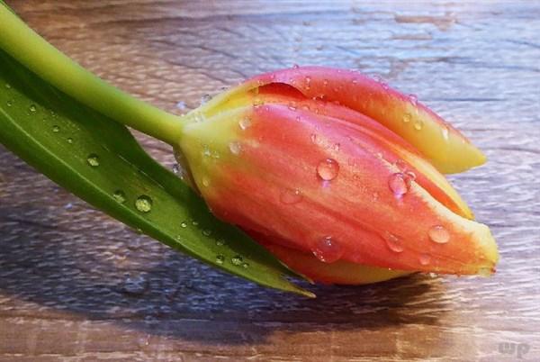 不要躲避风雨，风雨之后就是彩虹