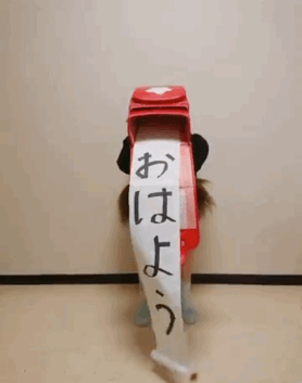 日本软萌妹靠沙雕发明走红，网友：靠脸吃饭不好么？