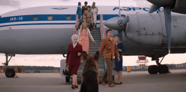 狗狗队集合！电影频道将排播7部温馨狗狗电影！