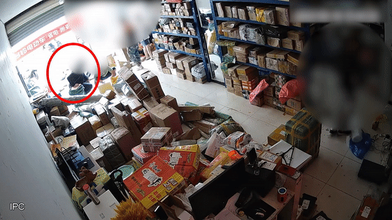 缴毒104公斤!云南警方摧毁56人特大贩毒网络