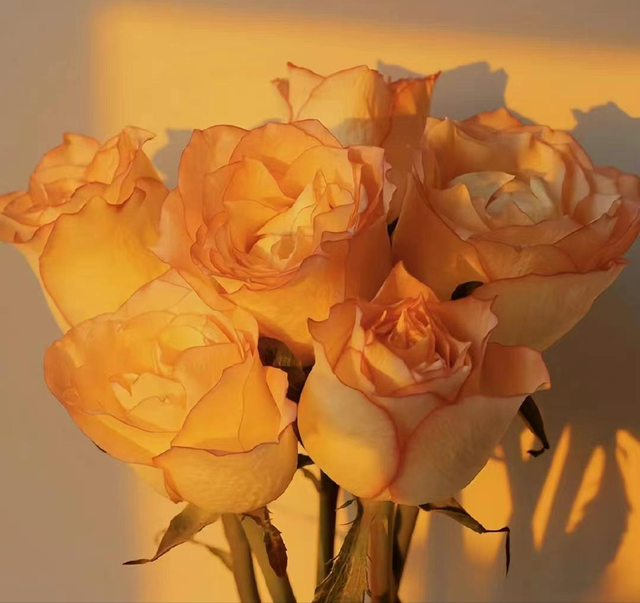 不管是夫妻还是情人，总觉得爱不够的，永远都是这种男女