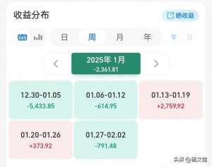 杨文佳(2025年1月理财总结)
