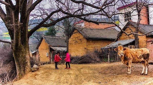 1990年，订娃娃亲的未婚妻考上大学要退婚，我扛起铁锹去了她家