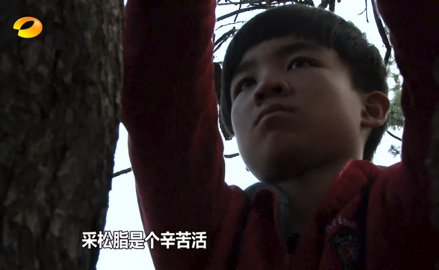 《变形计》嘉宾集体控诉，多年后真相终于被揭开，节目组瞒不住了